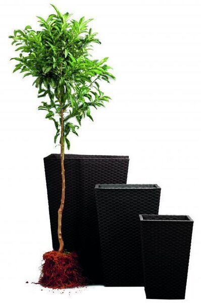 Kvetináč Rattan CROOPER M | hnedá