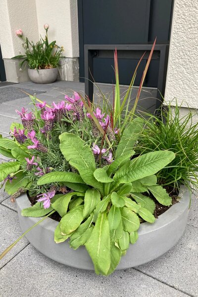 Kvetináč ESCADA LOW, sklolaminát, Ø 45 cm, sivá - beton design