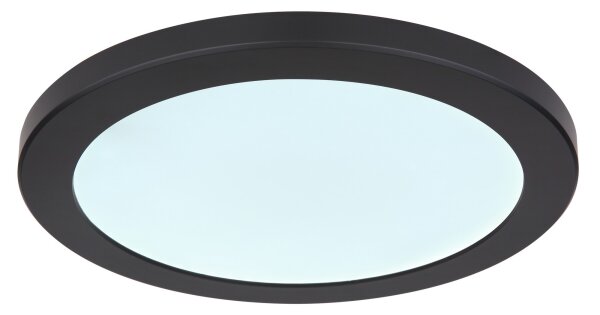 Globo 12379-24B - LED Stropné svietidlo LASSE LED/24W/230V