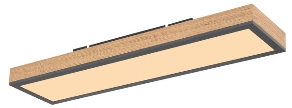 Globo 416080WD - LED Stropné svietidlo DORO LED/18W/230V