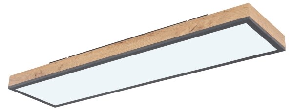 Globo 416080WD4-CCT - LED Stmievateľné stropné svietidlo DORO LED/24W/230V + DO