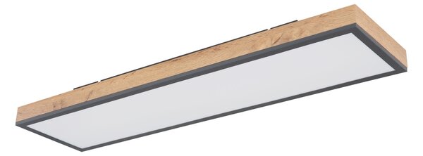 Globo 416080WD4-CCT - LED Stmievateľné stropné svietidlo DORO LED/24W/230V + DO