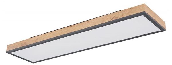 Globo 416080WD4 - LED Stropné svietidlo DORO LED/24W/230V
