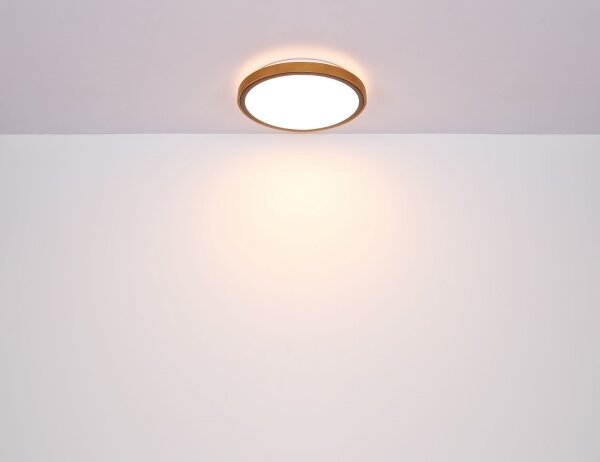 Globo 41766-24 - LED Stropné svietidlo SAMMI LED/24W/230V 3000/4500/6000K