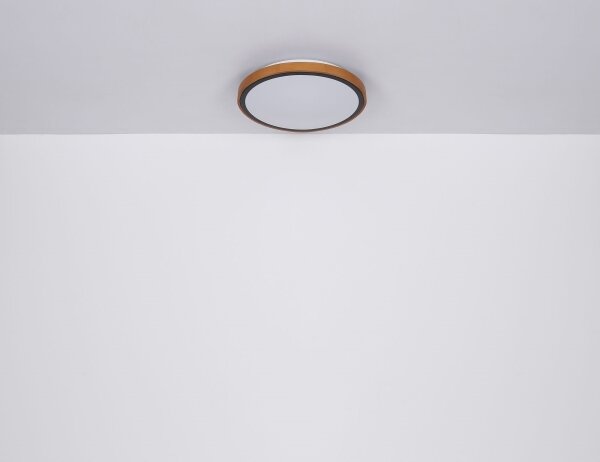 Globo 41766-24 - LED Stropné svietidlo SAMMI LED/24W/230V 3000/4500/6000K