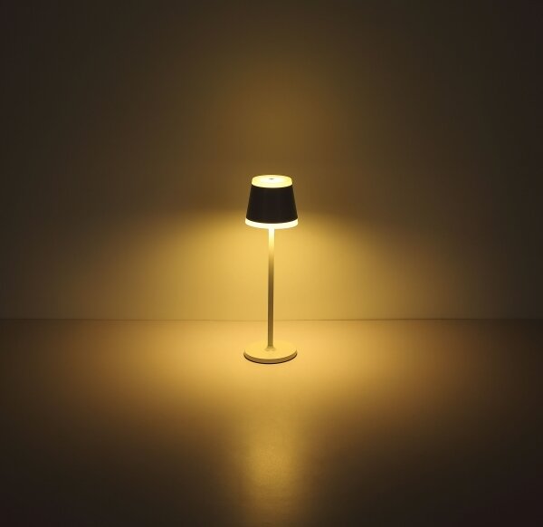 Globo 58433W - LED Stmievateľná dotyková stolná lampa RIDLEY LED/4,6W/230V IP54