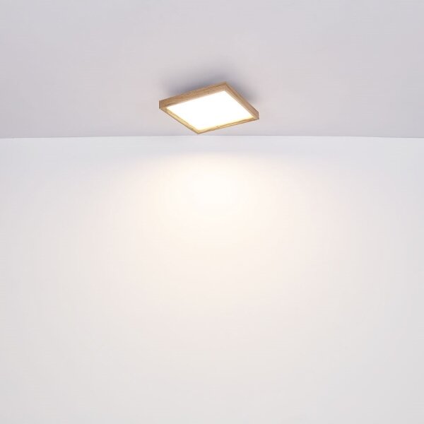Globo 41595D1-LED Stropné svietidlo CINDERELLA LED/12W/230V 30 cm 2700/4500/6500K