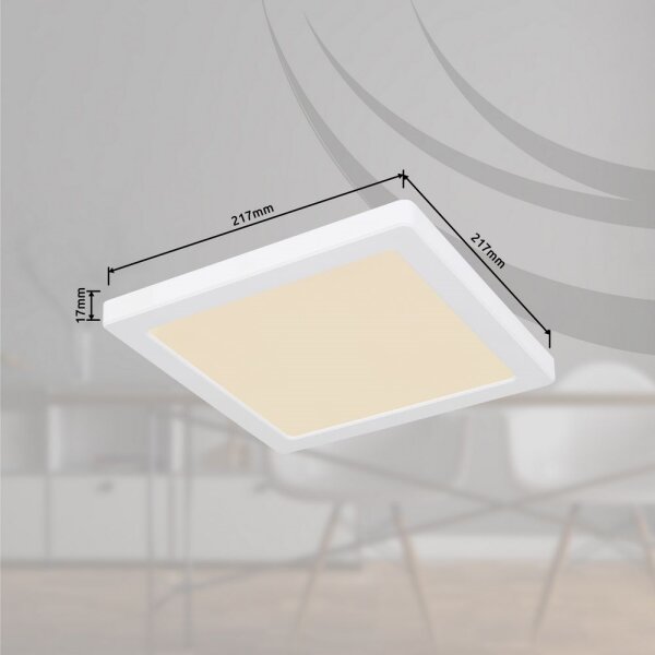 Globo 12380-18W - LED Stropné svietidlo LASSE LED/18W/230V 3000/4000/6500K biela