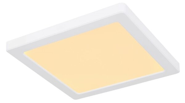 Globo 12380-18W - LED Stropné svietidlo LASSE LED/18W/230V 3000/4000/6500K biela