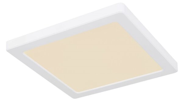 Globo 12380-18W - LED Stropné svietidlo LASSE LED/18W/230V 3000/4000/6500K biela