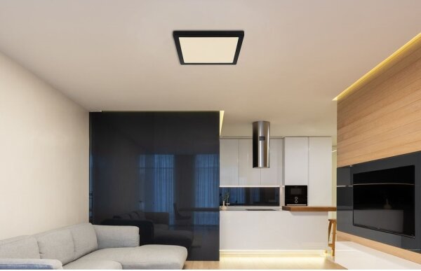 Globo 12380-24B - LED Stropné svietidlo LASSE LED/24W/230V 3000/4000/6500K čierna