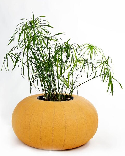 Okrúhly kvetináč do interiéru PUMPKIN, šírka 75 cm, žltá, outlet
