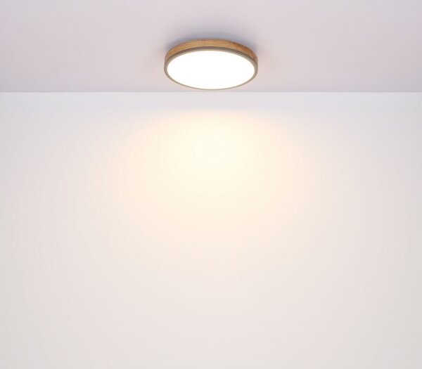 Globo 416080WD1R - LED Stropné svietidlo DORO LED/12W/230V pr. 30 cm
