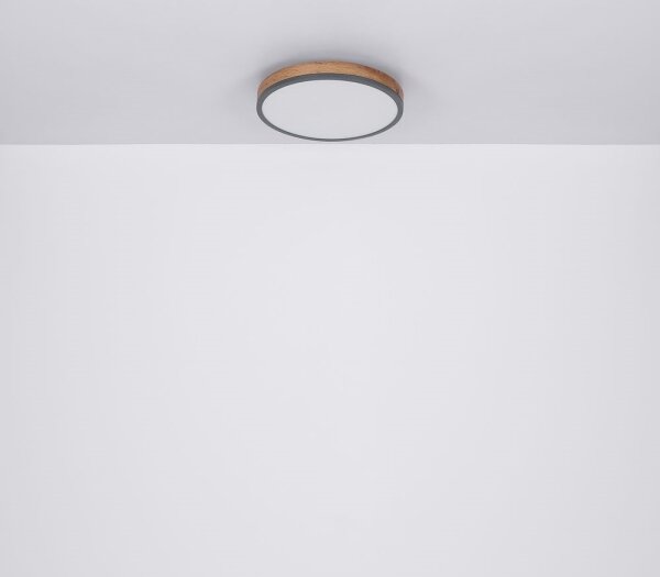 Globo 416080WD1R - LED Stropné svietidlo DORO LED/12W/230V pr. 30 cm