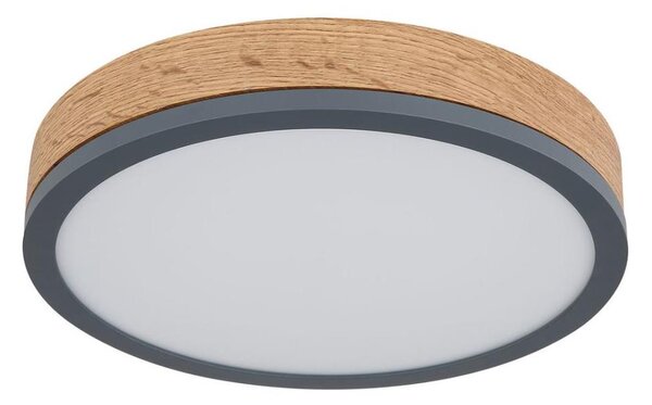 Globo 416080WD1R - LED Stropné svietidlo DORO LED/12W/230V pr. 30 cm