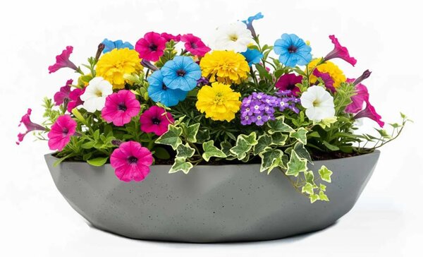 Okrasná miska CAVERO, sklolaminát, priemer 32 cm, sivá
