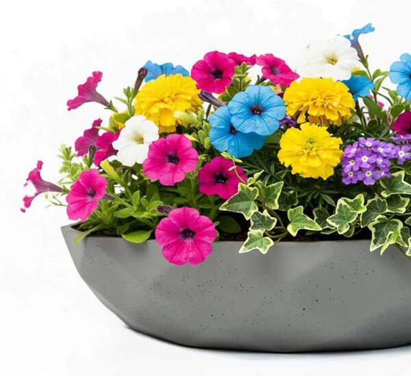 Okrasná miska CAVERO, sklolaminát, priemer 32 cm, sivá