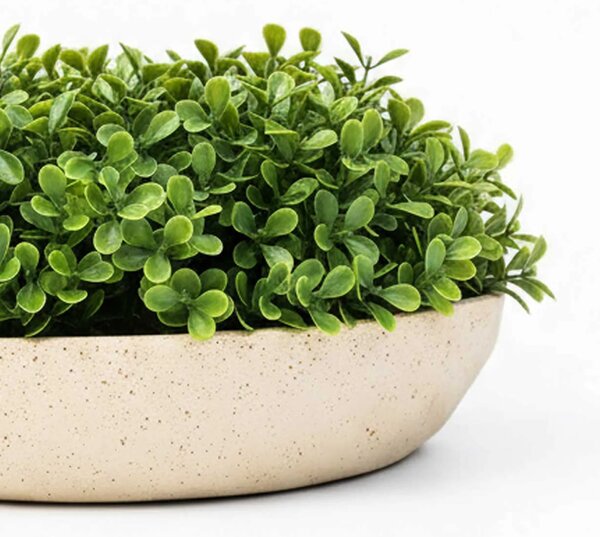 Okrasná miska CAVERO, sklolaminát, priemer 32 cm, béžová