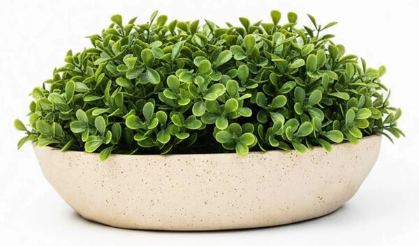 Okrasná miska CAVERO, sklolaminát, priemer 32 cm, béžová