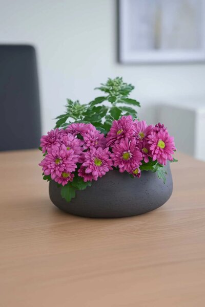 Dekoračná misa PERA, sklolaminát, priemer 27 cm, antracit