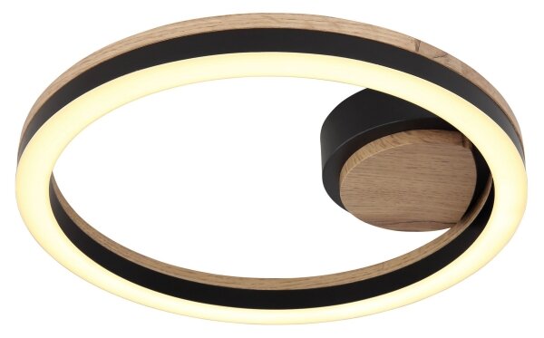 Globo 67298D - LED Stropné svietidlo BEATRIX LED/12W/230V
