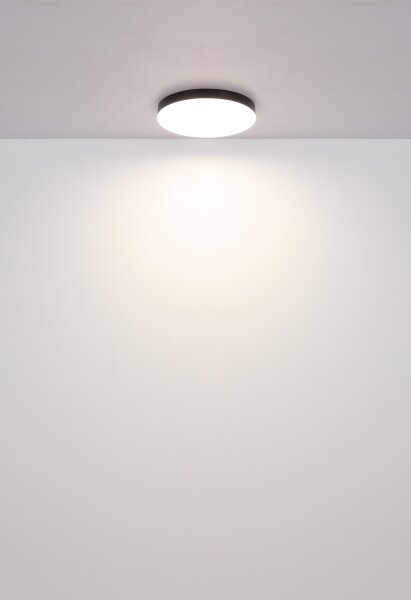 Globo 12384-24 - LED Stropné svietidlo MATTHEW LED/24W/230V