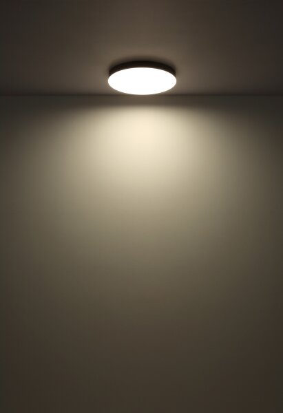 Globo 12384-24 - LED Stropné svietidlo MATTHEW LED/24W/230V