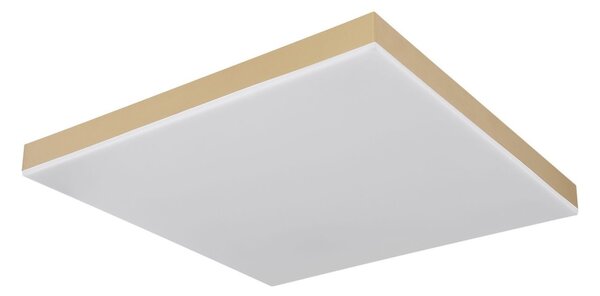 Globo 41594D2M - LED Stmievateľné stropné svietidlo DORO LED/24W/230V zlatá + DO