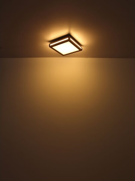 Globo 41589D1 - LED Stropné svietidlo CARLA LED/12W/230V 30x30 cm