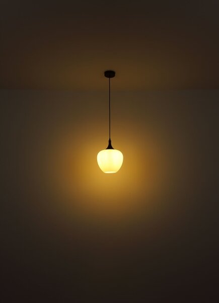 Globo 15548H1C - Luster na lanku MAXY 1xE27/60W/230V biela/hnedá