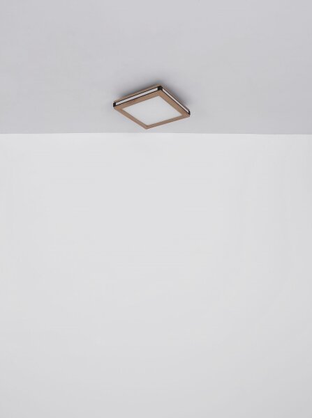Globo 41589D1 - LED Stropné svietidlo CARLA LED/12W/230V 30x30 cm