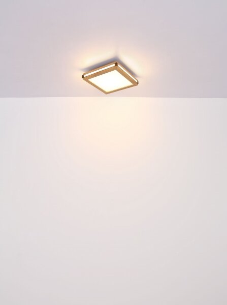 Globo 41589D1 - LED Stropné svietidlo CARLA LED/12W/230V 30x30 cm
