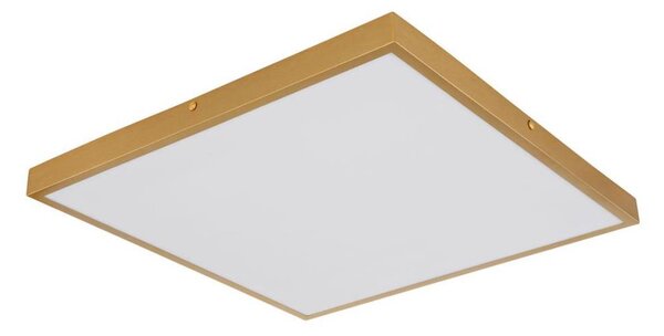 Globo 12382-30 - LED Stropné svietidlo TIBEY LED/30W/230V 45x45 cm