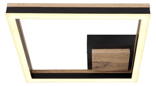 Globo 67297D - LED Stropné svietidlo BEATRIX LED/12W/230V