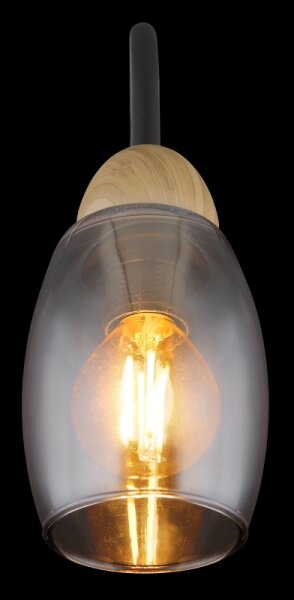 Globo 60297W - Nástenná lampa GERLY 1xE14/25W/230V