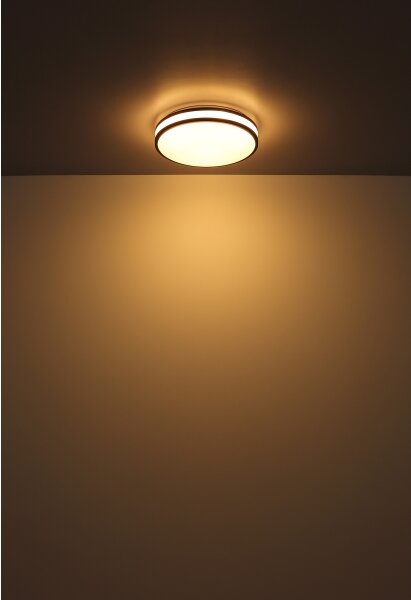 Globo 41266-18 - LED RGBW Stmievateľné stropné svietidlo BETHA LED/18W/230V + DO