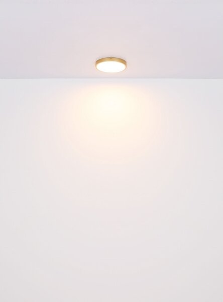 Globo 12381-22 - LED Stropné svietidlo TIBEY LED/22W/230V pr. 35 cm