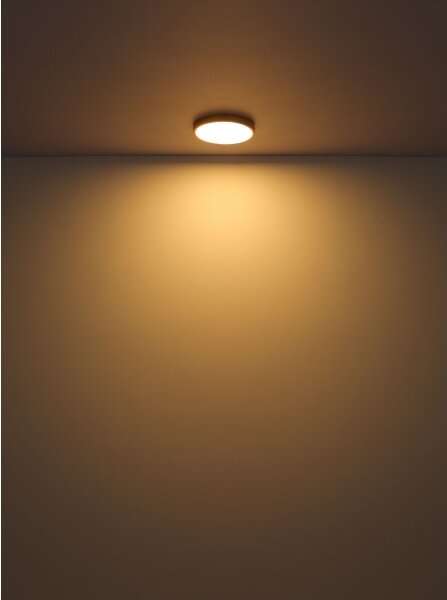 Globo 12381-22 - LED Stropné svietidlo TIBEY LED/22W/230V pr. 35 cm