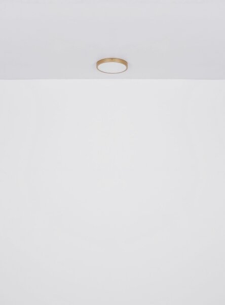 Globo 12381-22 - LED Stropné svietidlo TIBEY LED/22W/230V pr. 35 cm