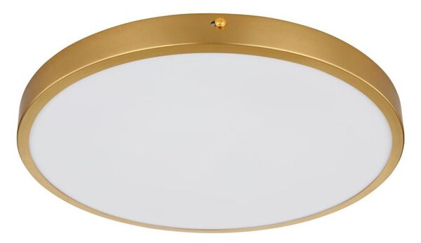 Globo 12381-22 - LED Stropné svietidlo TIBEY LED/22W/230V pr. 35 cm