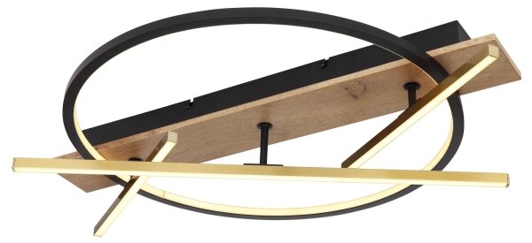 Globo 67295D1 - LED Stropné svietidlo BEATRIX LED/44W/230V