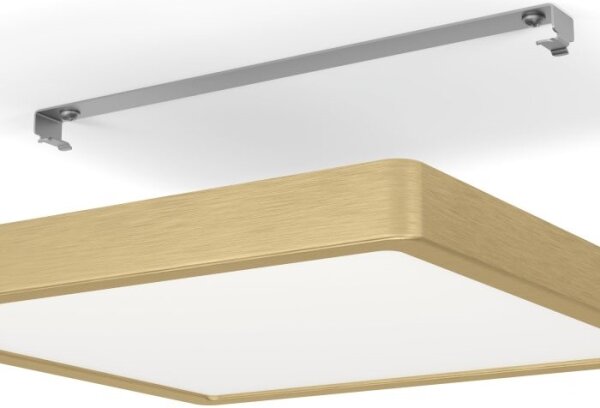 Eglo 900184 - LED stropné svietidlo FUEVA LED/20,5W/230V