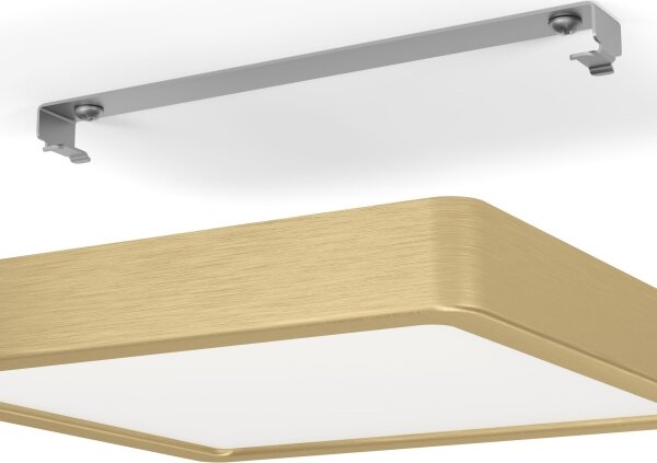 Eglo 900183 - LED stropné svietidlo FUEVA LED/17W/230V