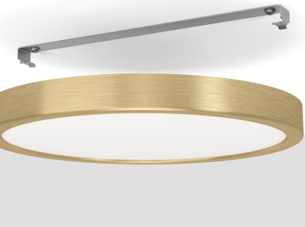 Eglo 900182 - LED stropné svietidlo FUEVA LED/20,5W/230V pr. 28,5 cm