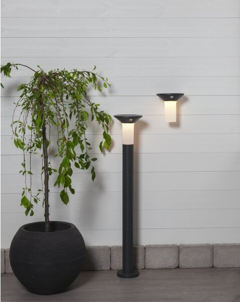 Eglo 900243 - LED vonkajšie solárne svietidlo so senzorom 6xLED/0,03W/3,7V IP44