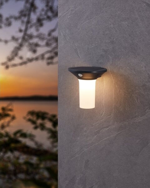 Eglo 900243 - LED vonkajšie solárne svietidlo so senzorom 6xLED/0,03W/3,7V IP44