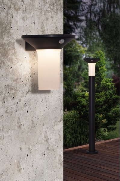 Eglo 900243 - LED vonkajšie solárne svietidlo so senzorom 6xLED/0,03W/3,7V IP44
