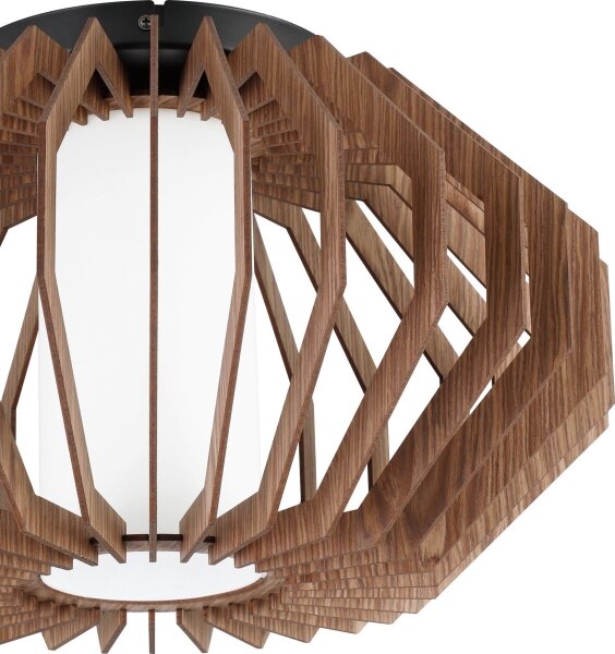 Eglo 900385 - Stropné svietidlo RUSTICARIA 1xE27/40W/230V