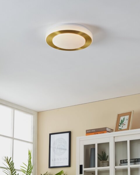 Eglo 900369 - LED Kúpeľňové stropné svietidlo CARPI LED/10,8W/230V IP44