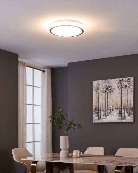Eglo 900149 - LED Stropné svietidlo CAPASSO LED/14,6W/230V